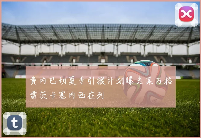 费内巴切夏季引援计划曝光莱万格雷茨卡塞内西在列